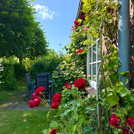 Appartement Haus 94- Whg 2